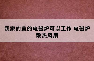 我家的美的电磁炉可以工作 电磁炉散热风扇